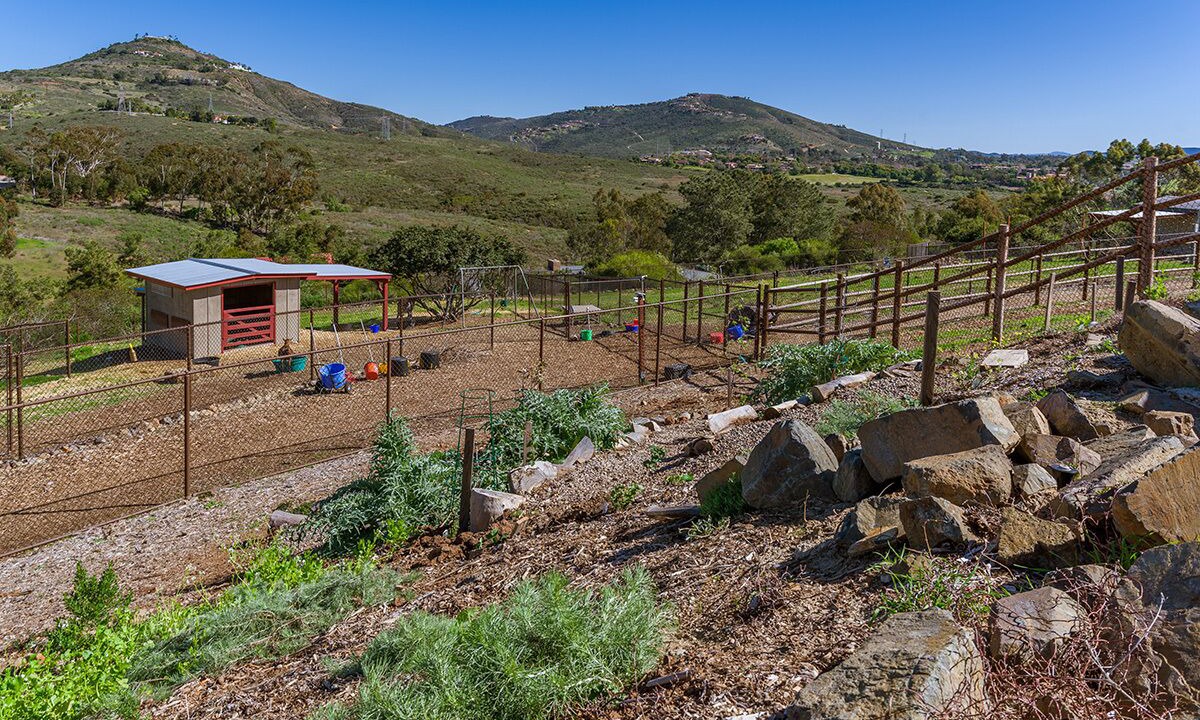 Photo of Outdoor in Encinitas