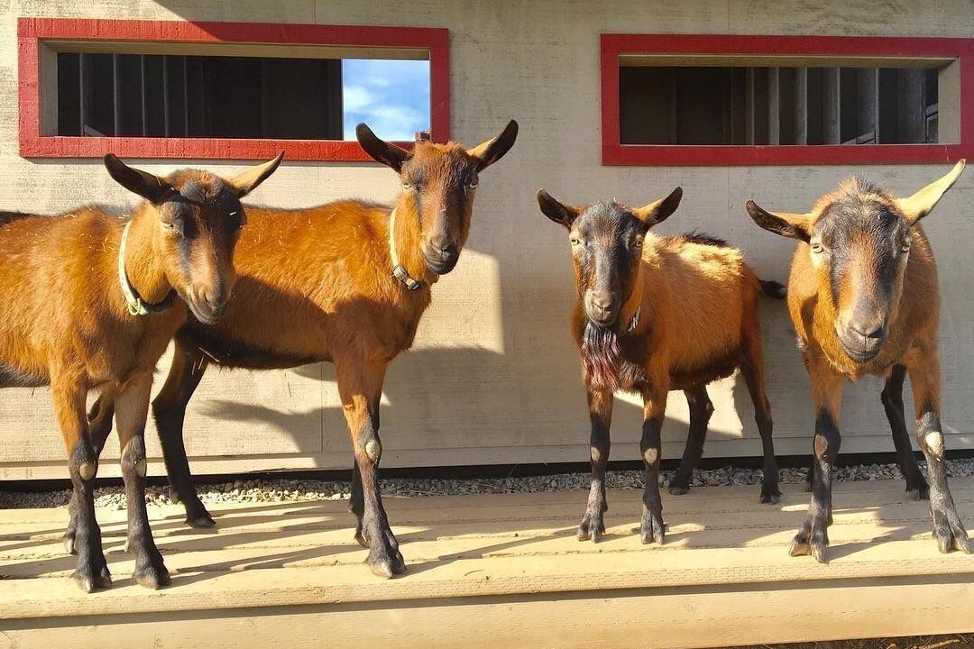 Photo of Others in Encinitas