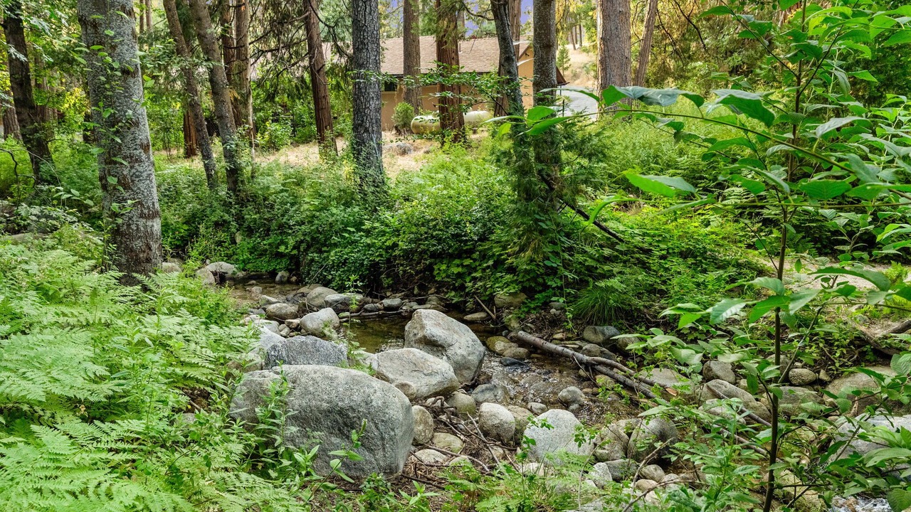 Photo of Outdoor in Idyllwild