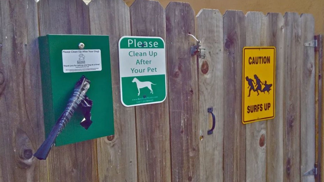 Photo of Others in Ocean Beach