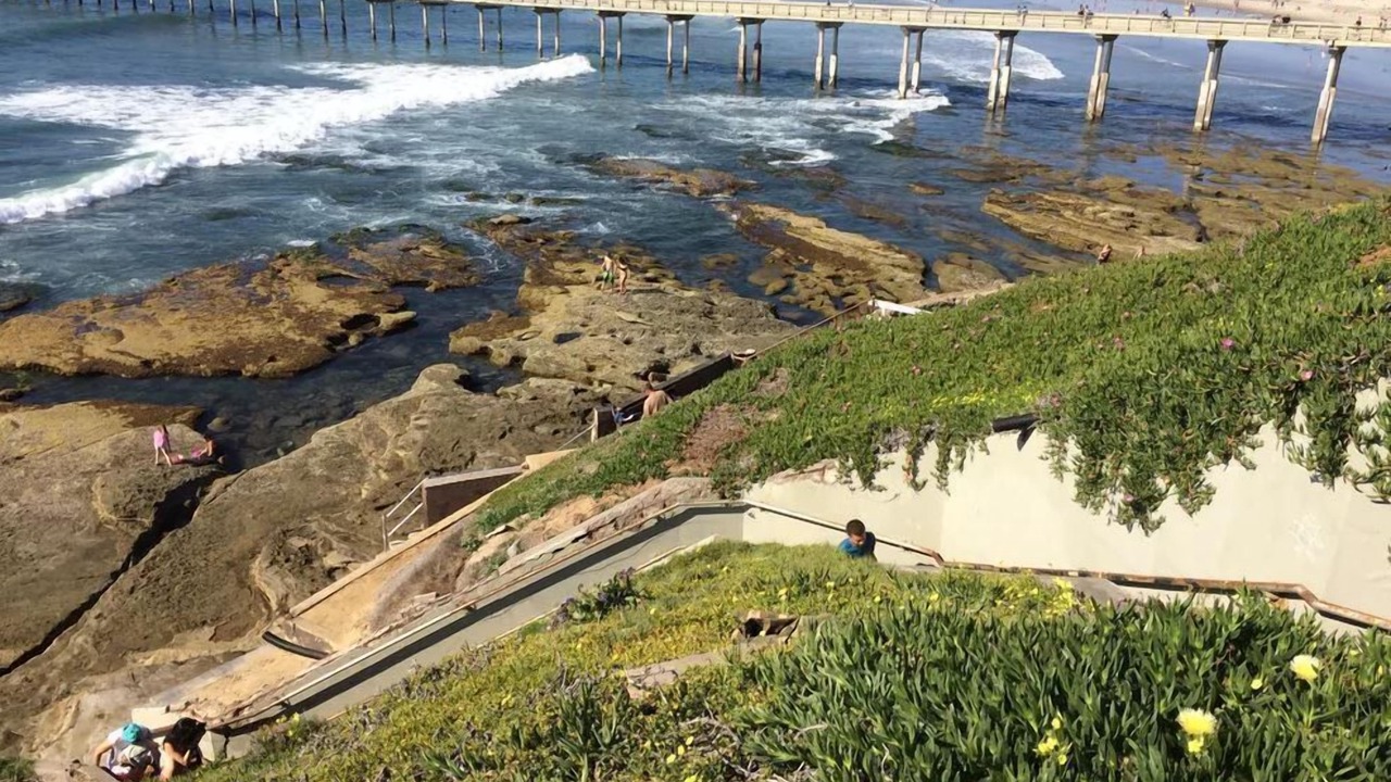 Photo of Others in Ocean Beach