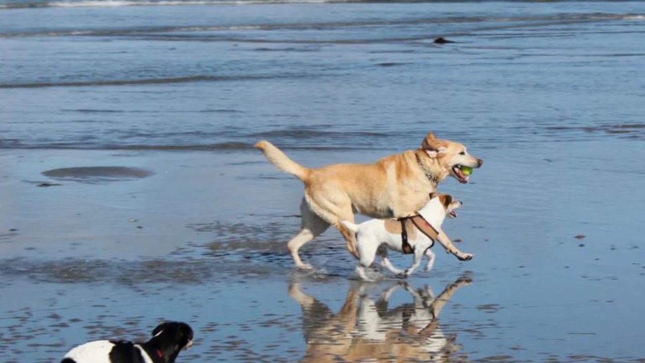 Photo of Others in Ocean Beach