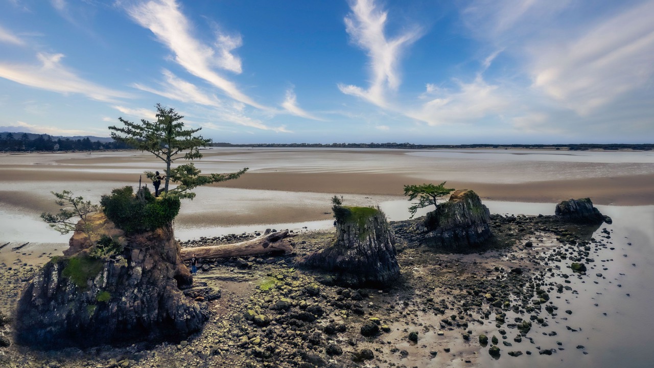 Photo of Others in Lincoln City