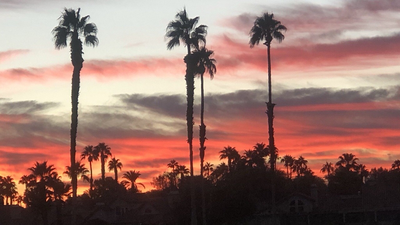 Photo of Others in Palm Desert