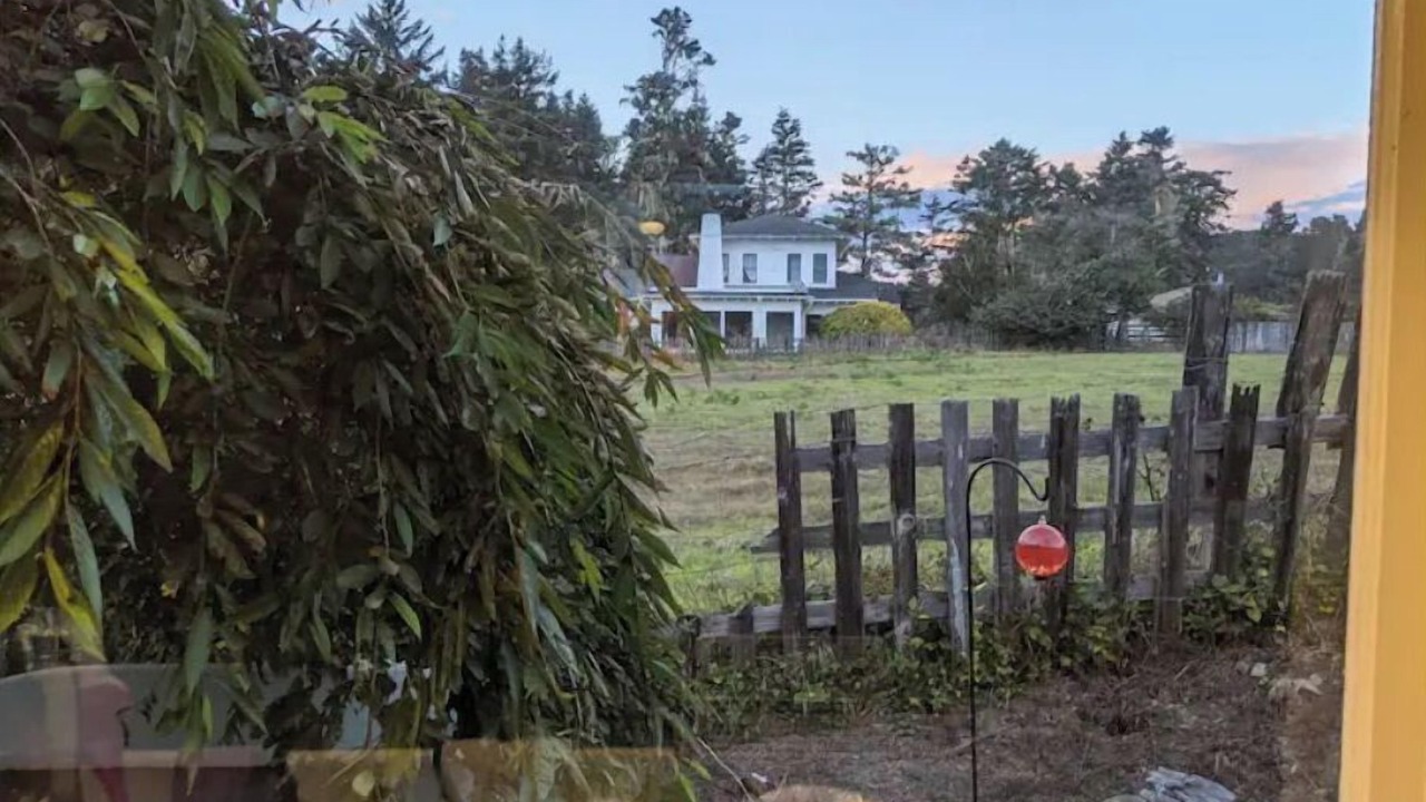 Photo of Outdoor in Caspar