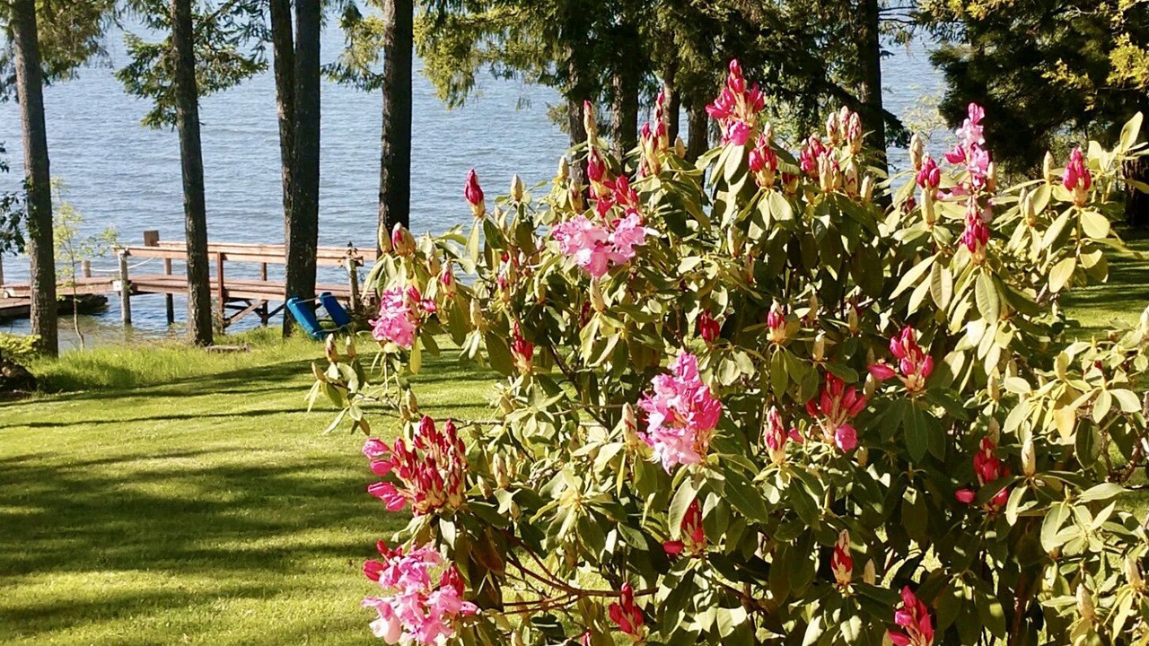 Photo of Outdoor in Alvadore
