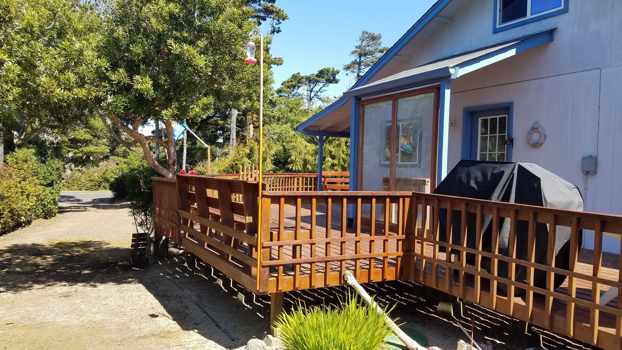 Photo of Outdoor in Heceta Beach