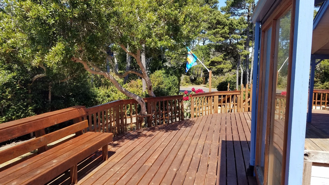 Photo of Outdoor in Heceta Beach