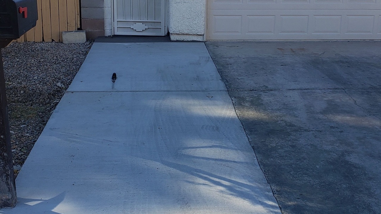 Photo of Outdoor in Sunrise Manor