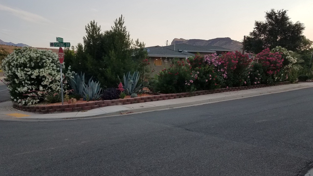 Photo of Outdoor in Toquerville
