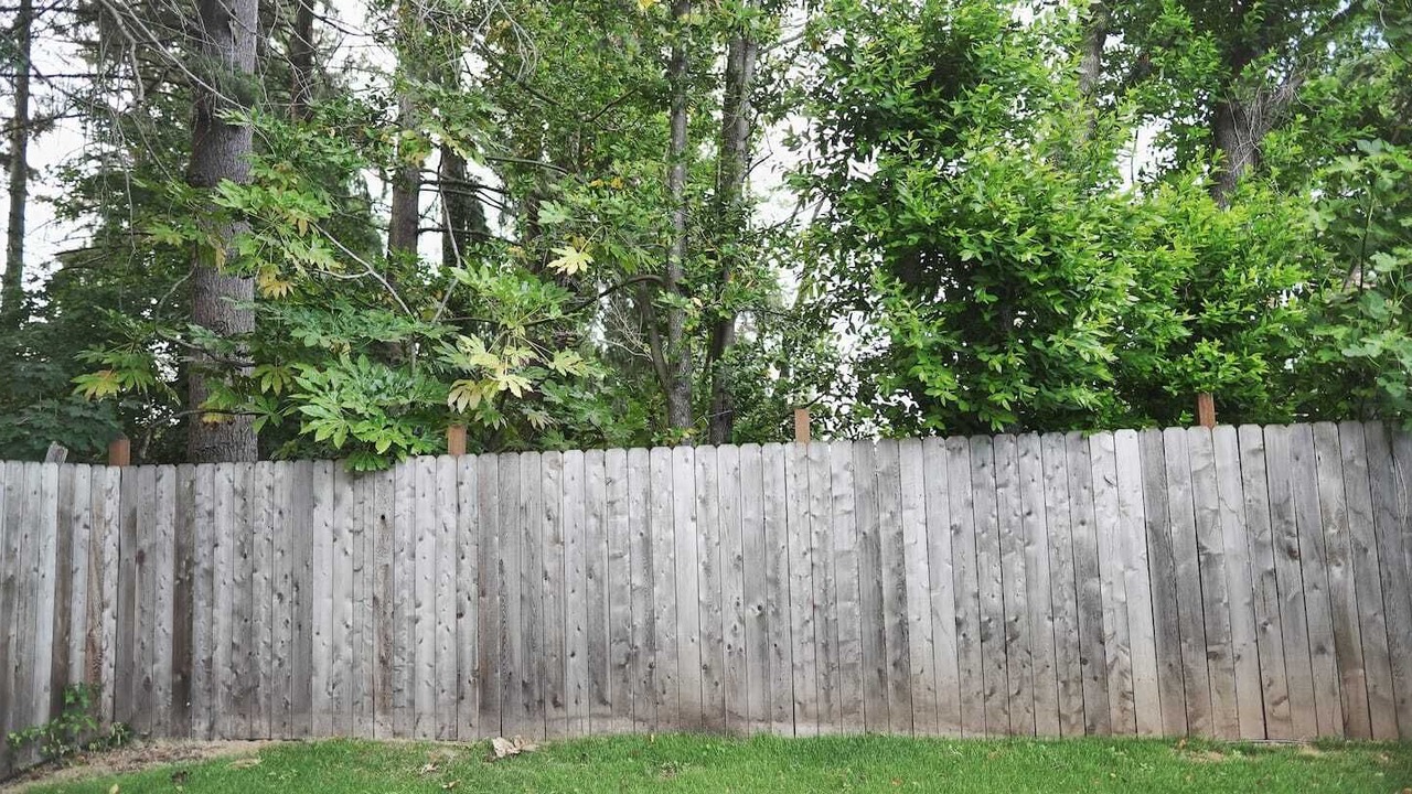 Photo of Outdoor in Keizer