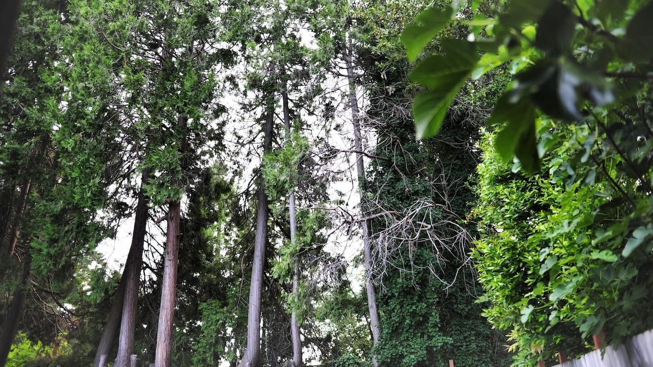 Photo of Outdoor in Keizer