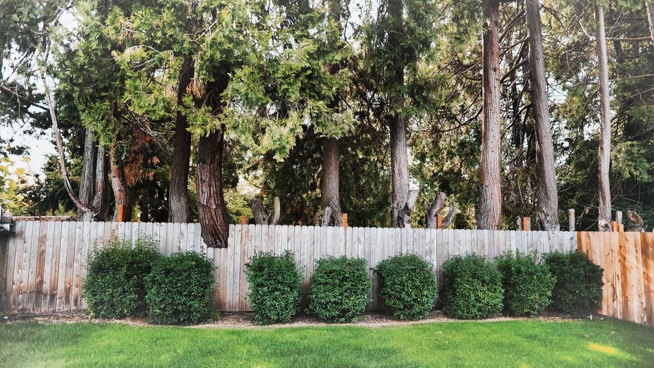 Photo of Outdoor in Keizer