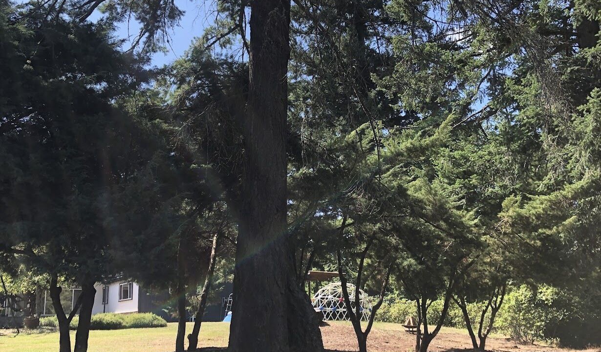 Photo of Outdoor in Pleasant Valley
