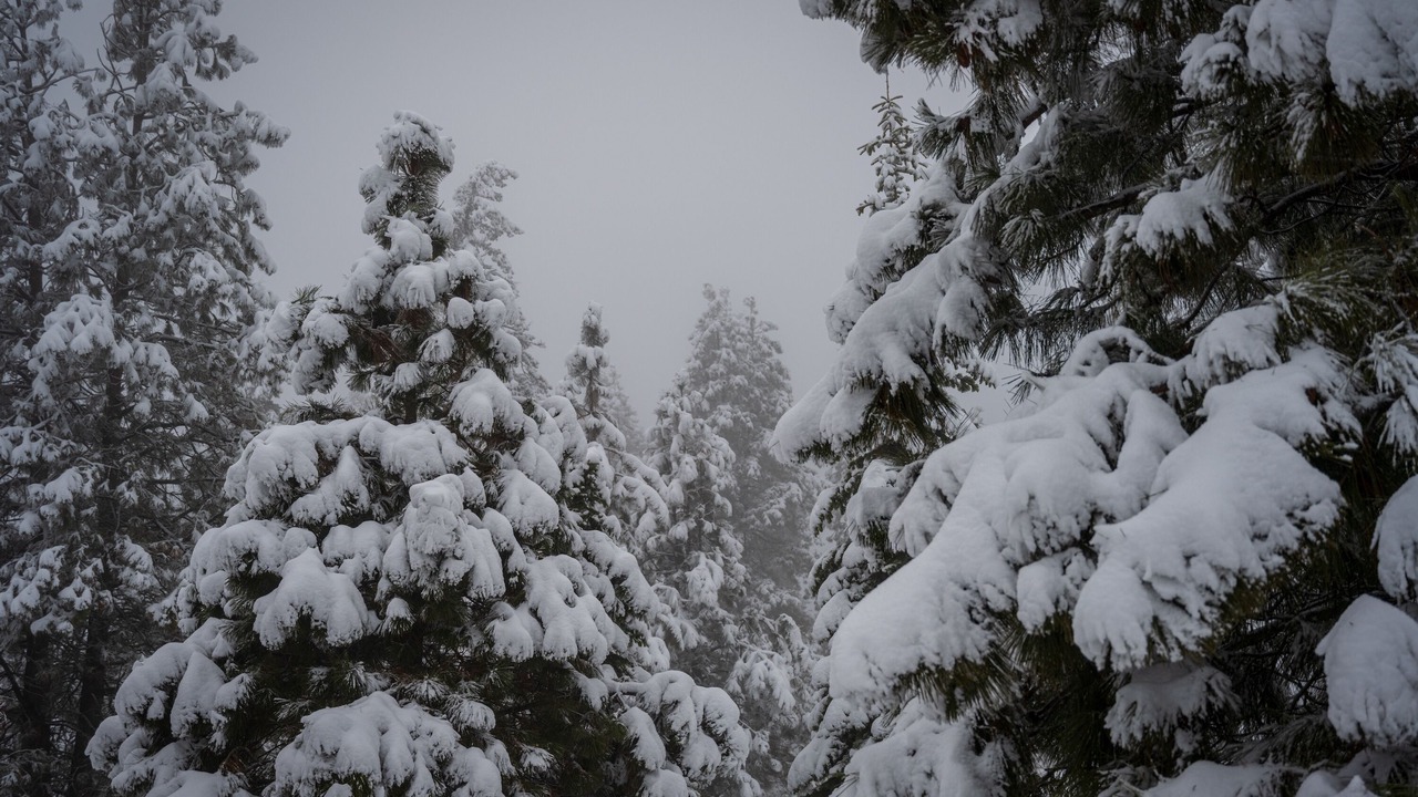 Photo of Others in Goldendale