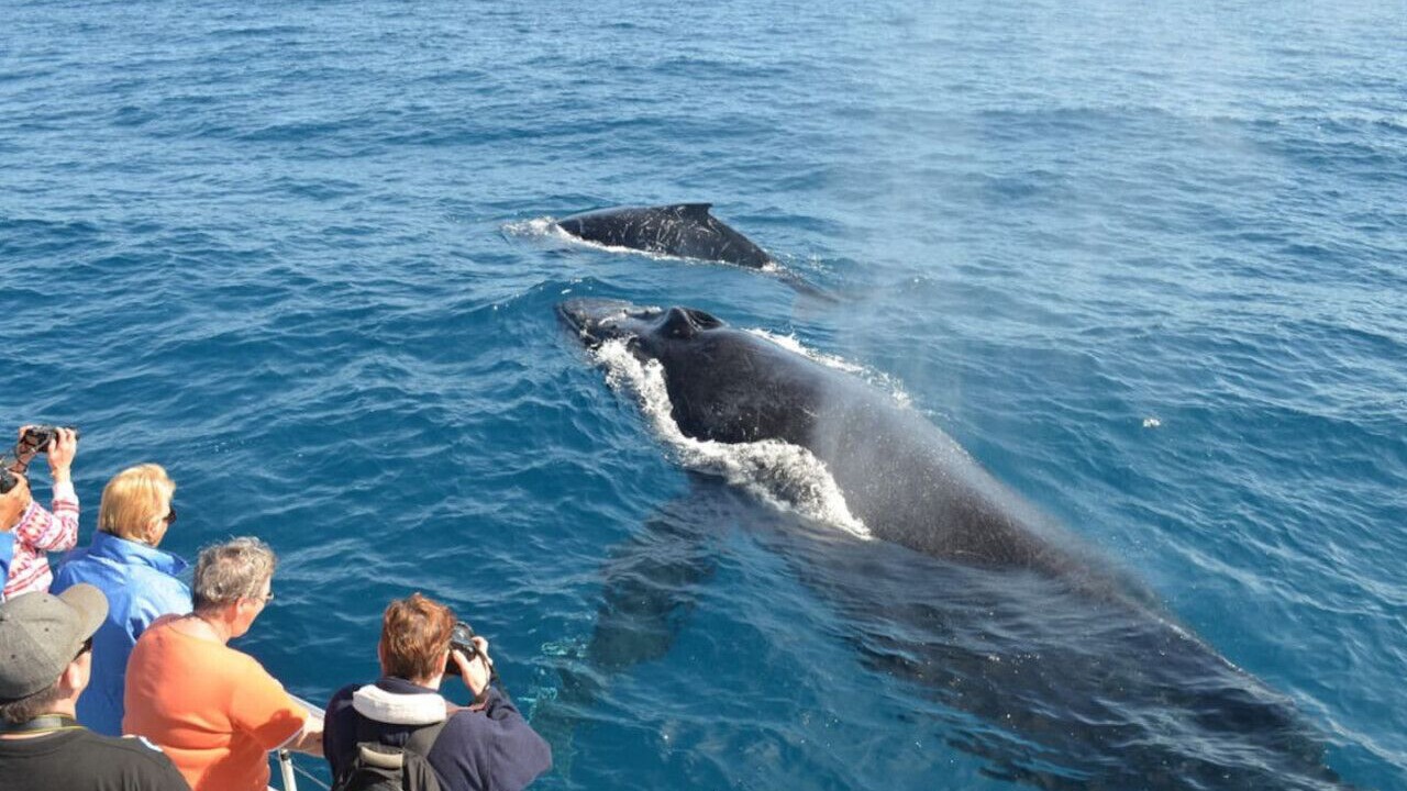Photo of Others in Alamitos Beach