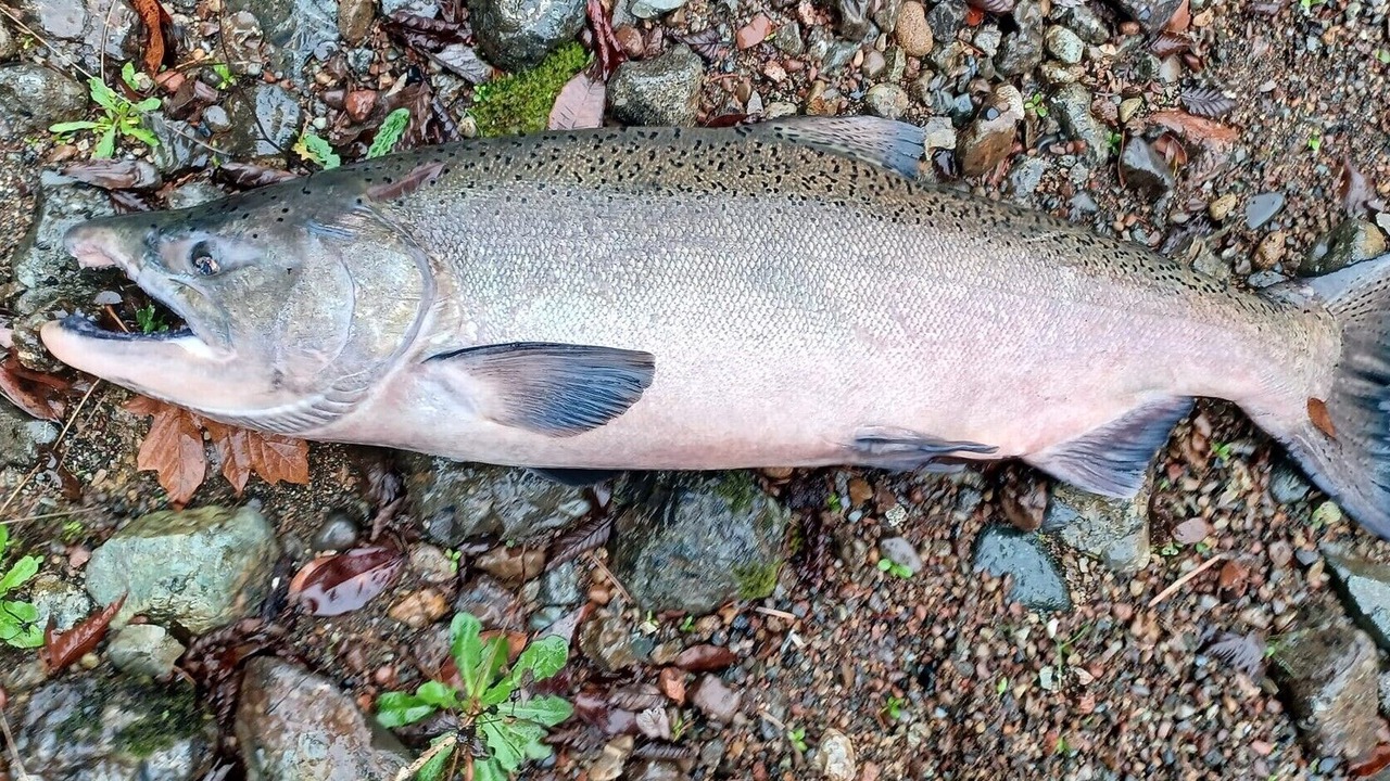 Photo of Outdoor in Port Orford