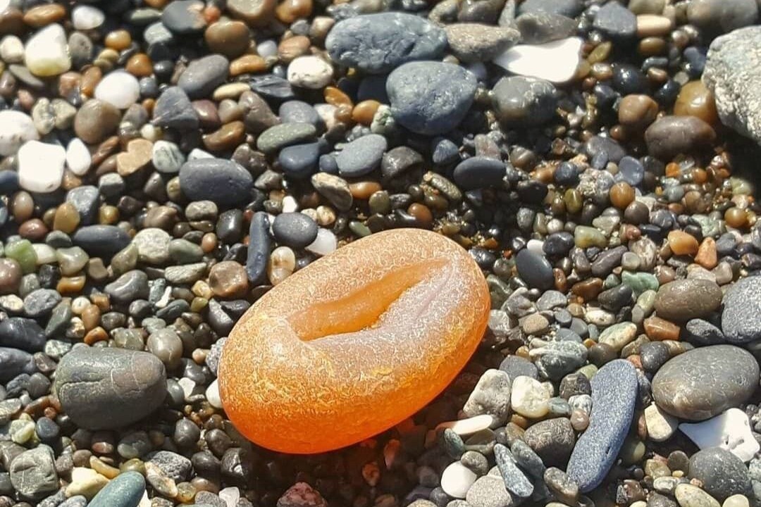 Photo of Others in Port Orford