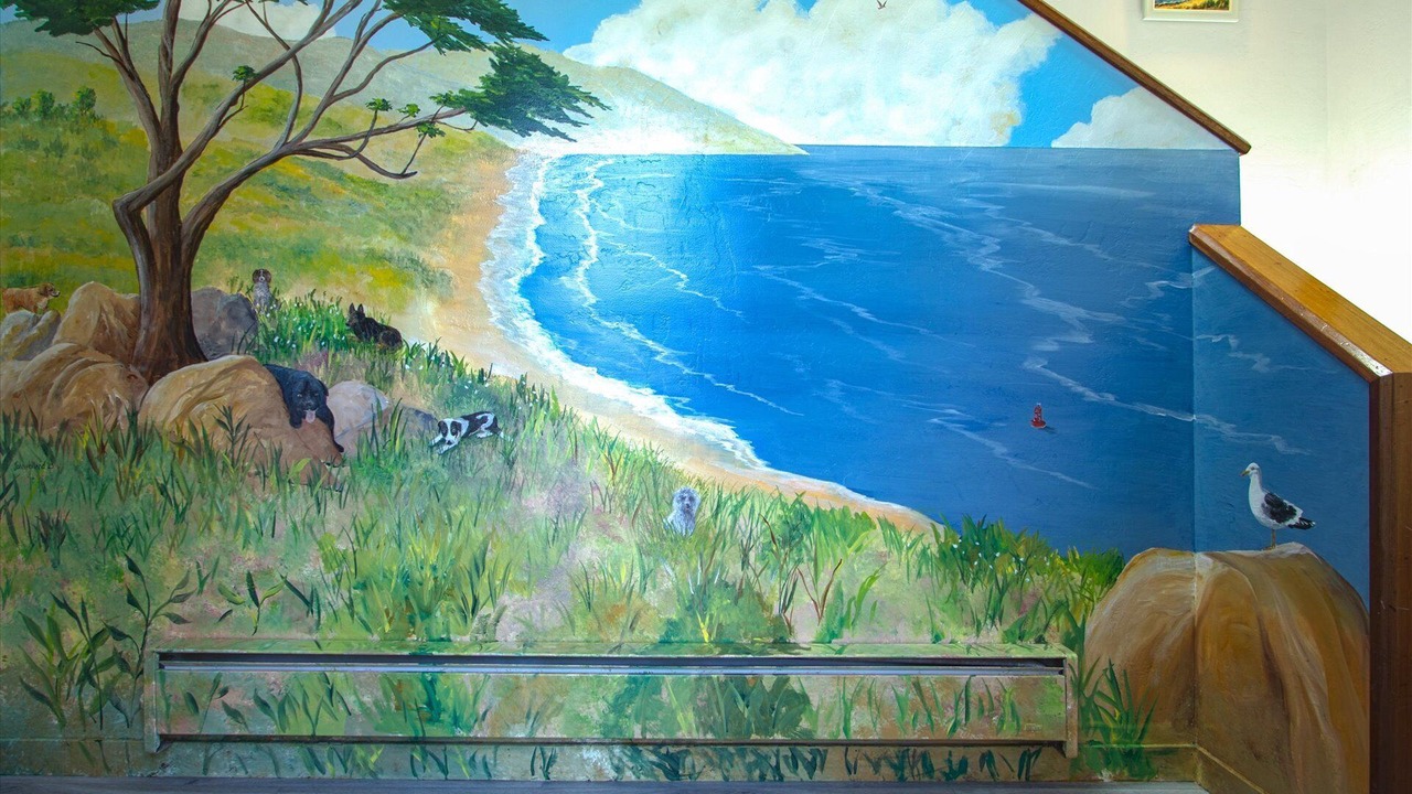 Photo of Others in Dillon Beach