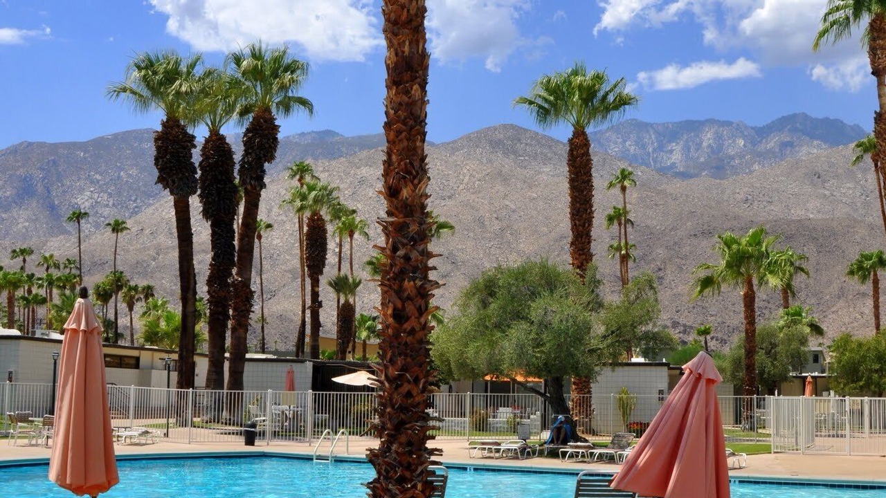 Photo of Others in Twin Palms