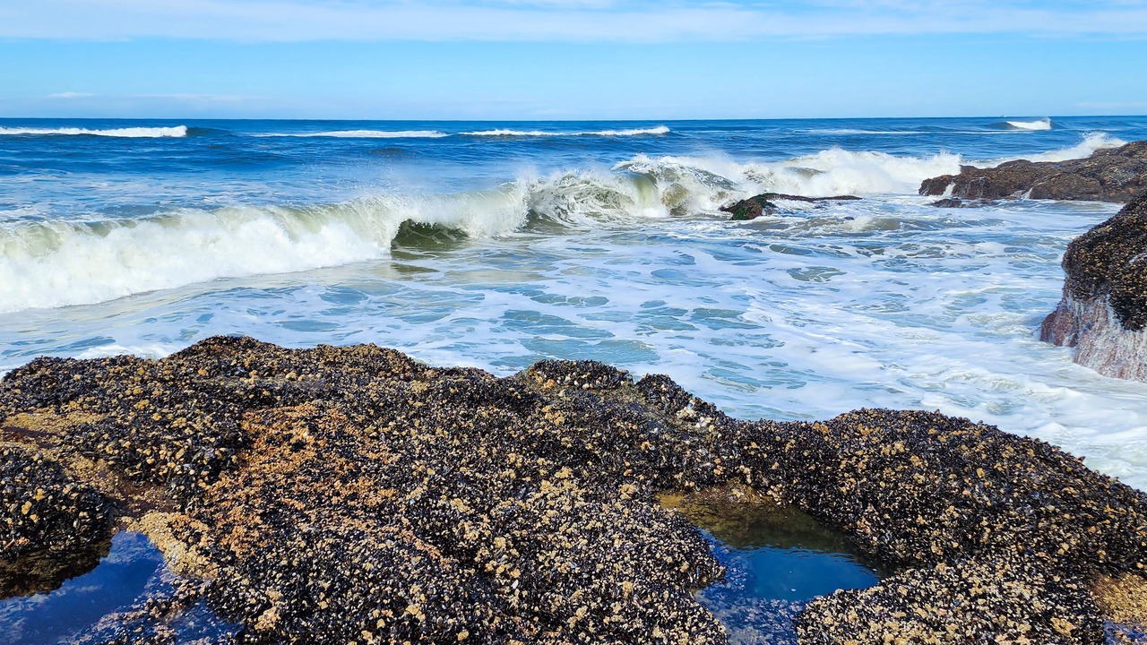 Photo of Others in Yachats