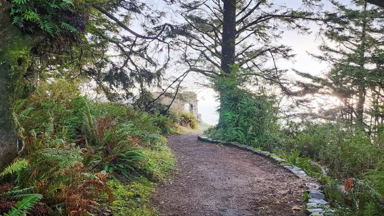 Photo of Others in Yachats