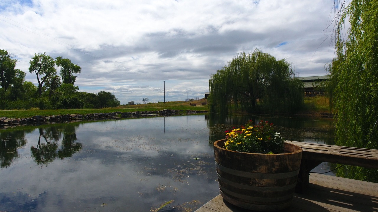 Photo of Outdoor in Lincoln