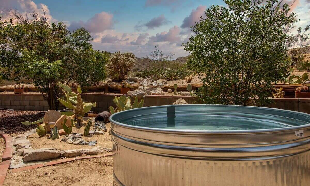 Photo of Outdoor in Joshua Tree