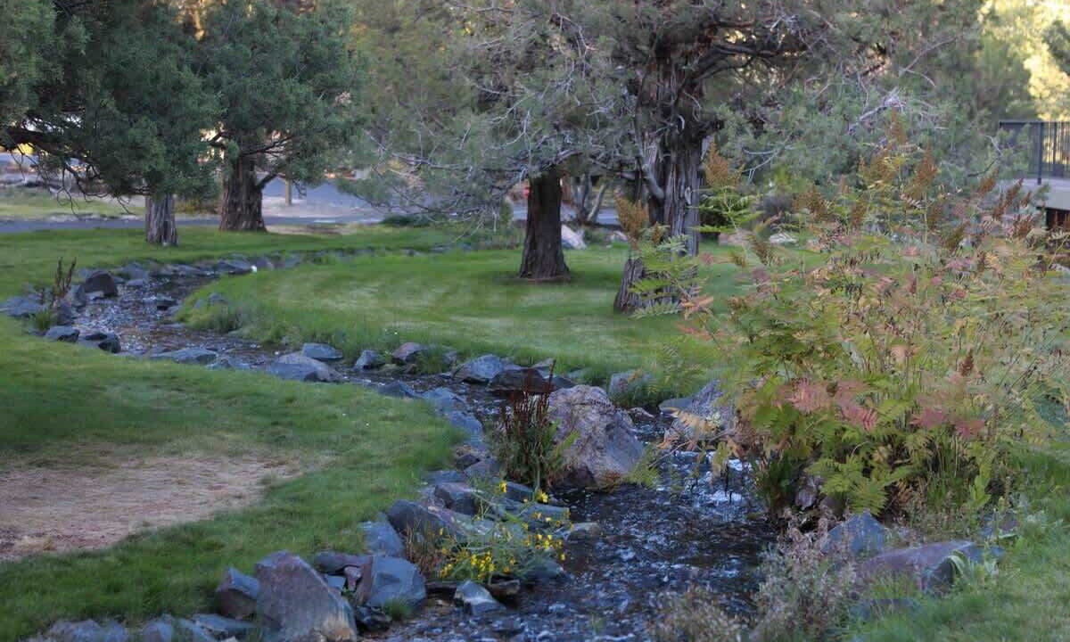 Photo of Outdoor in Redmond