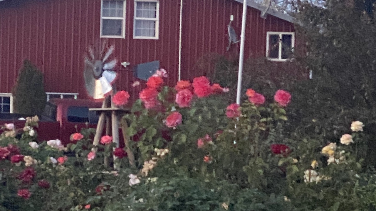 Photo of Outdoor in Aurora