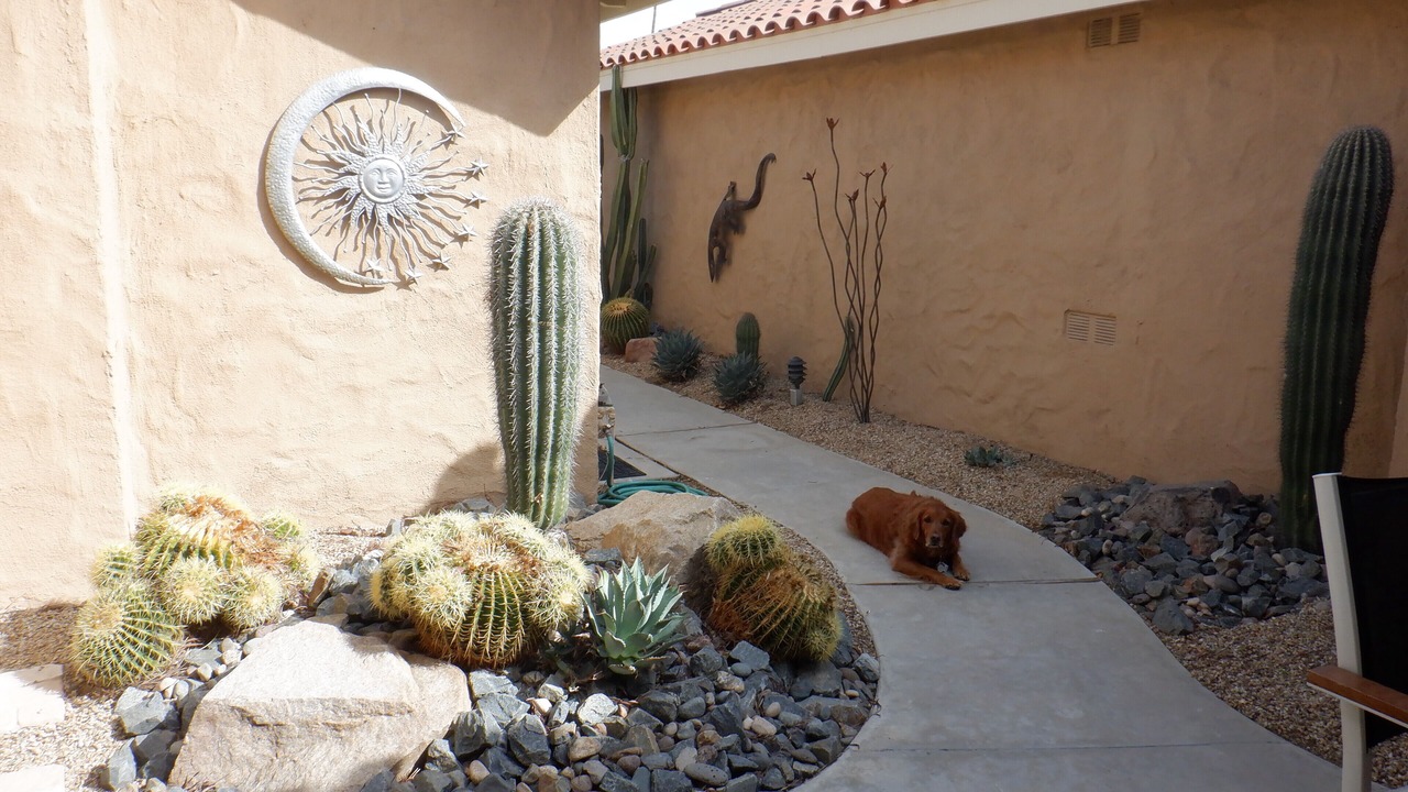 Photo of Outdoor in Palm Desert