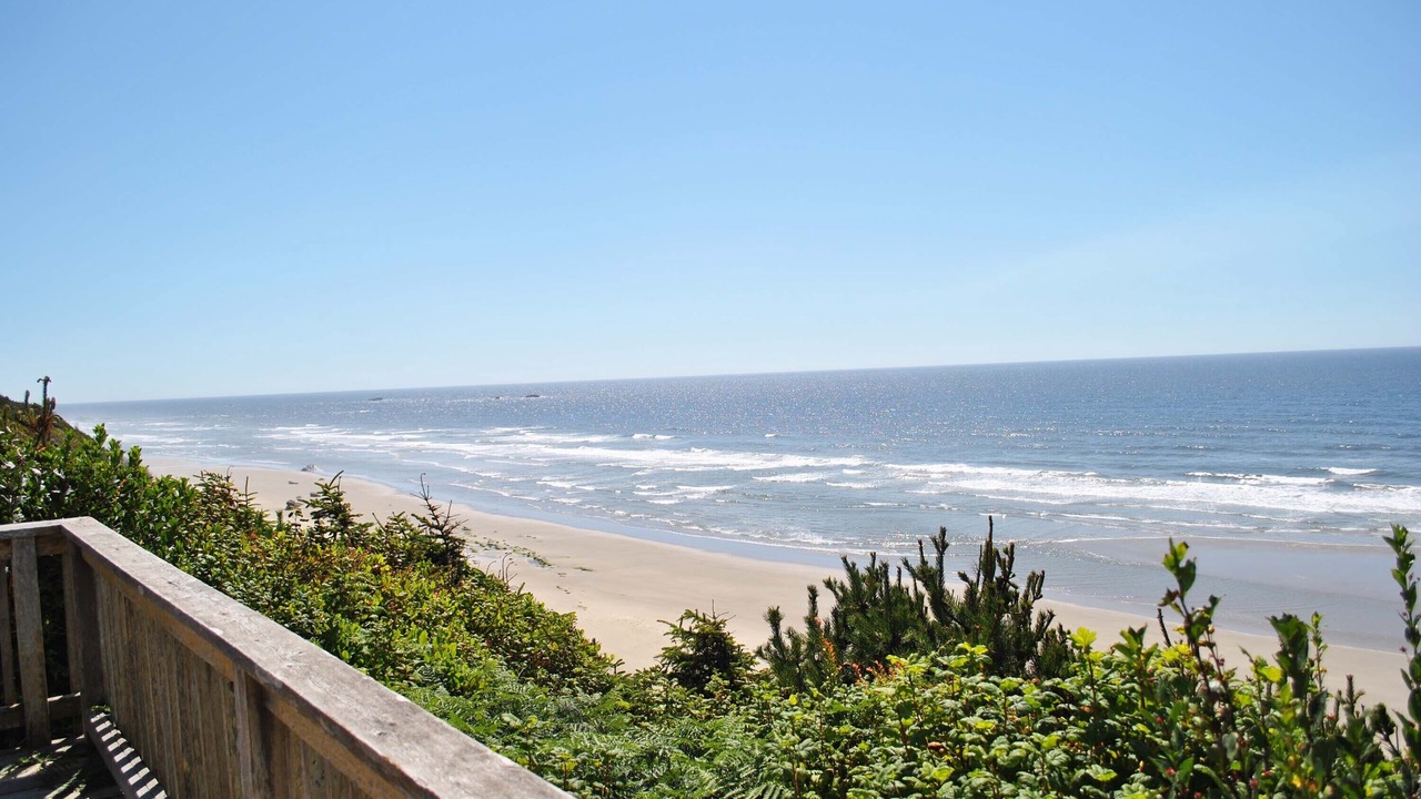 Photo of Others in Seal Rock