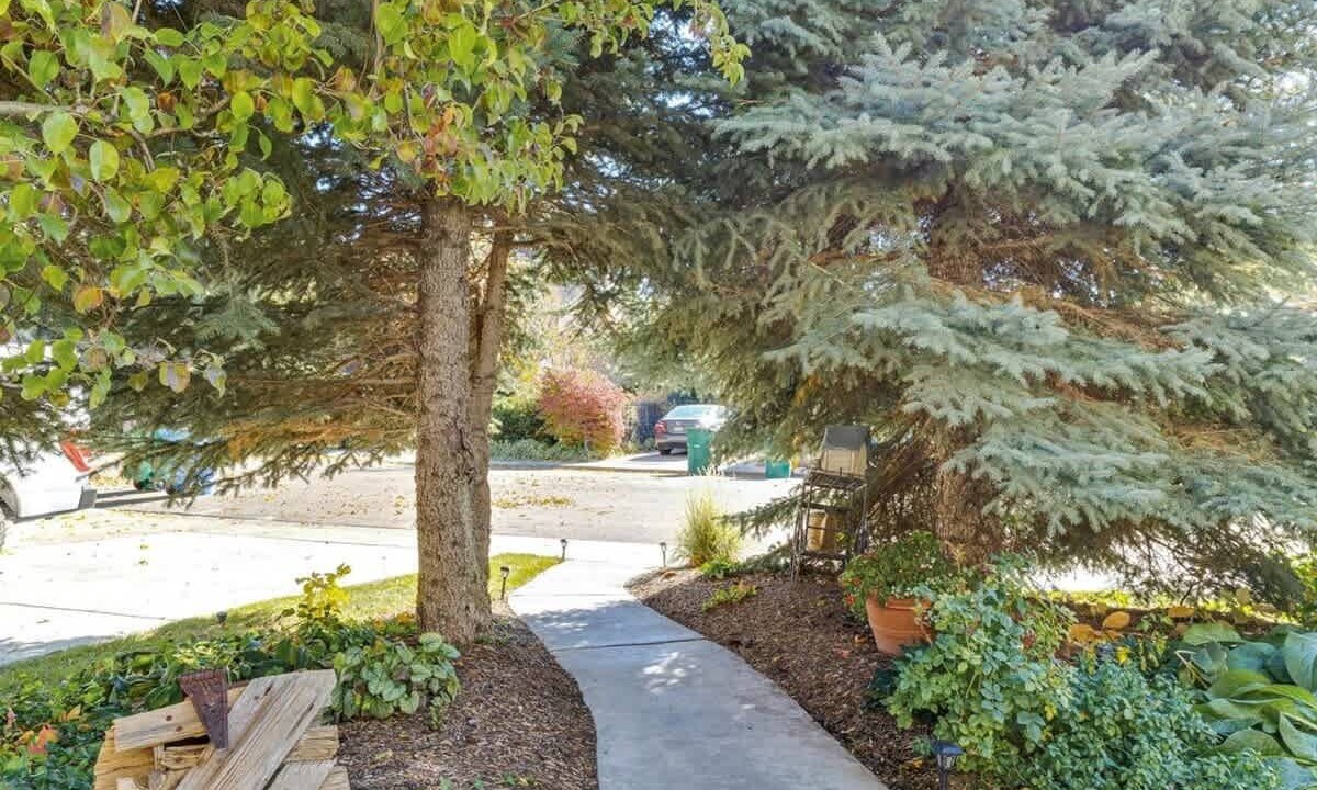 Photo of Others in Orem