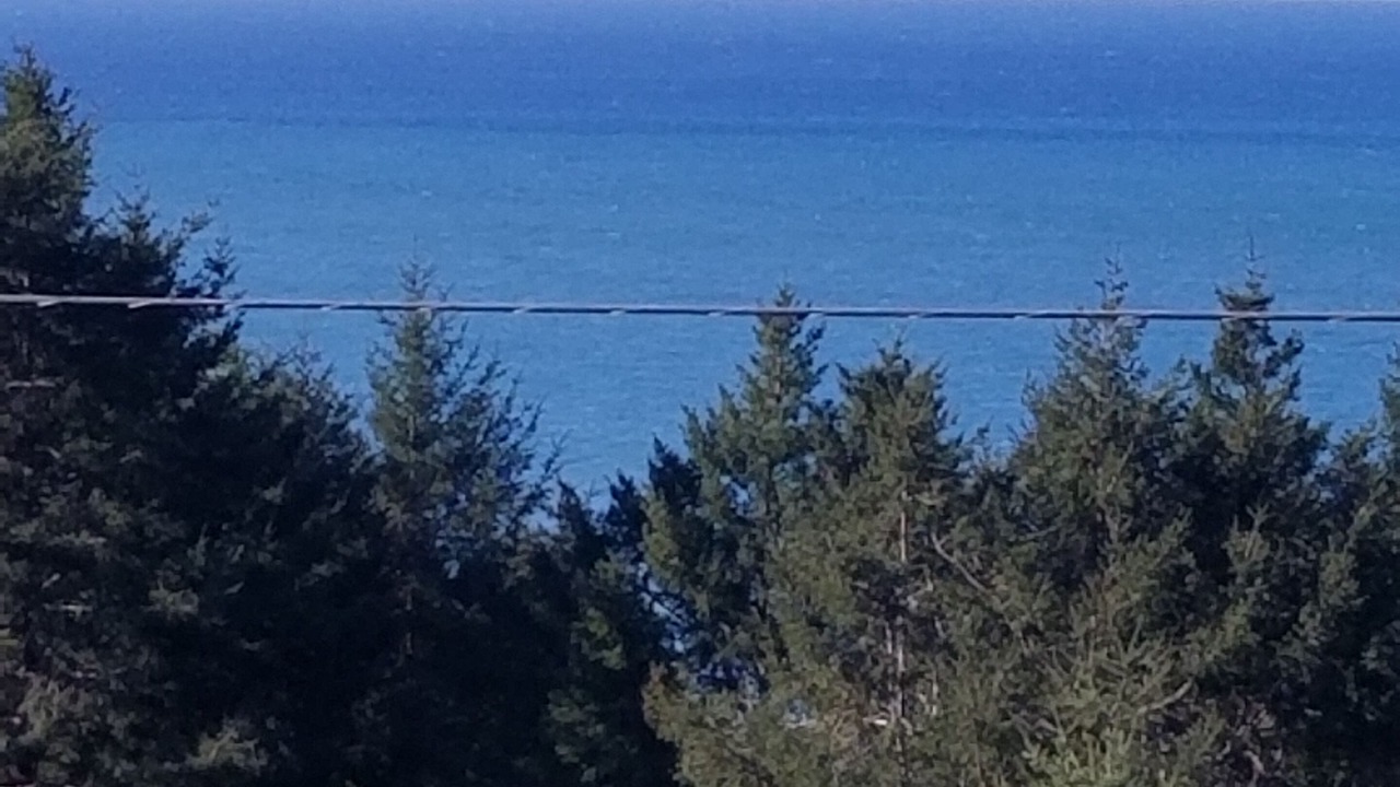 Photo of Others in Shelter Cove