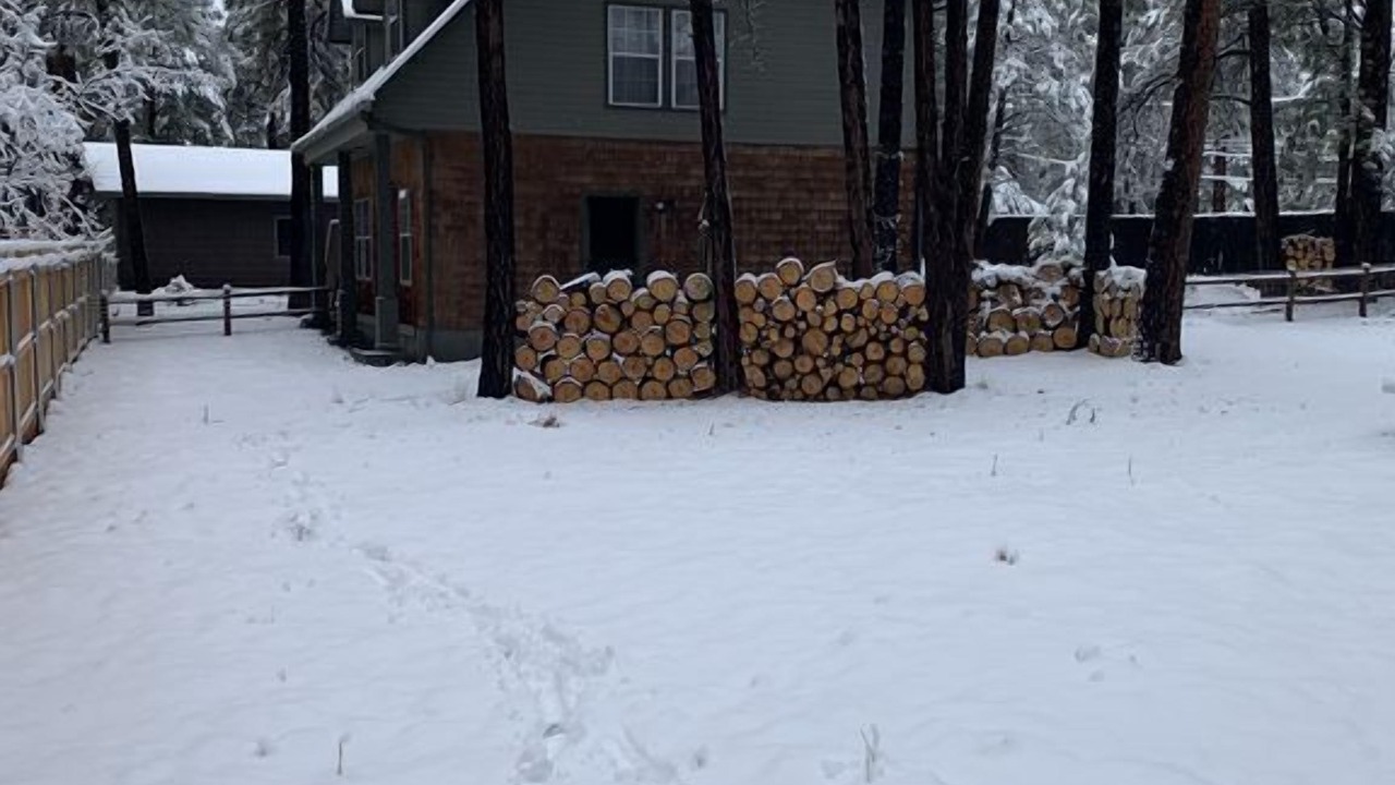 Photo of Outdoor in Flagstaff