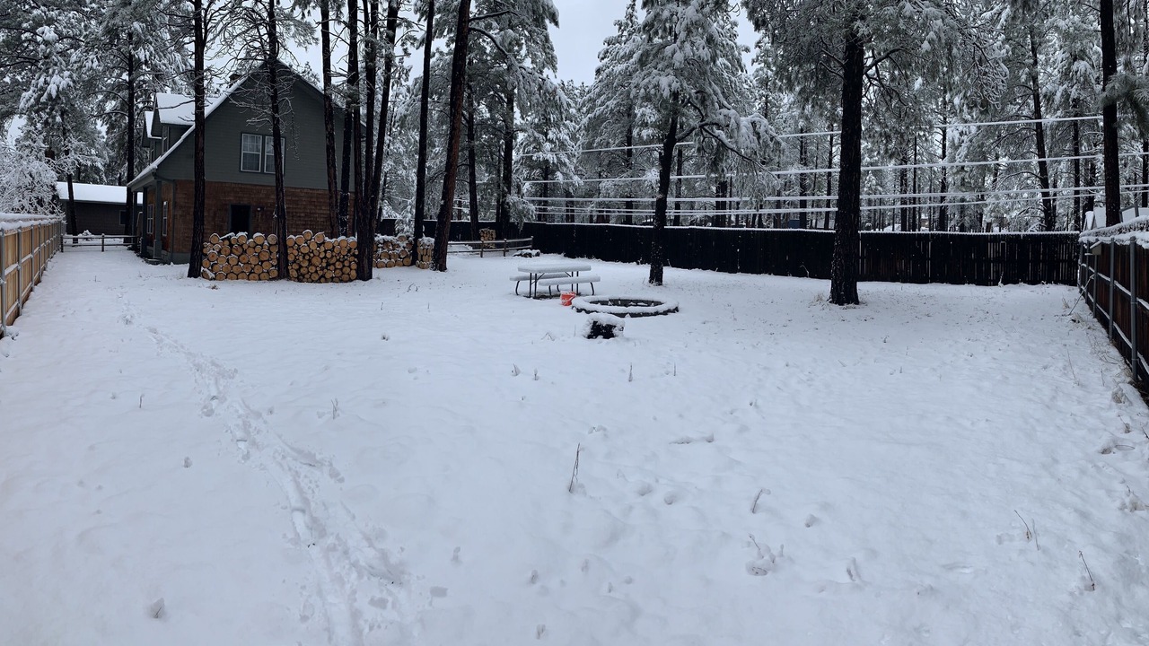 Photo of Outdoor in Flagstaff