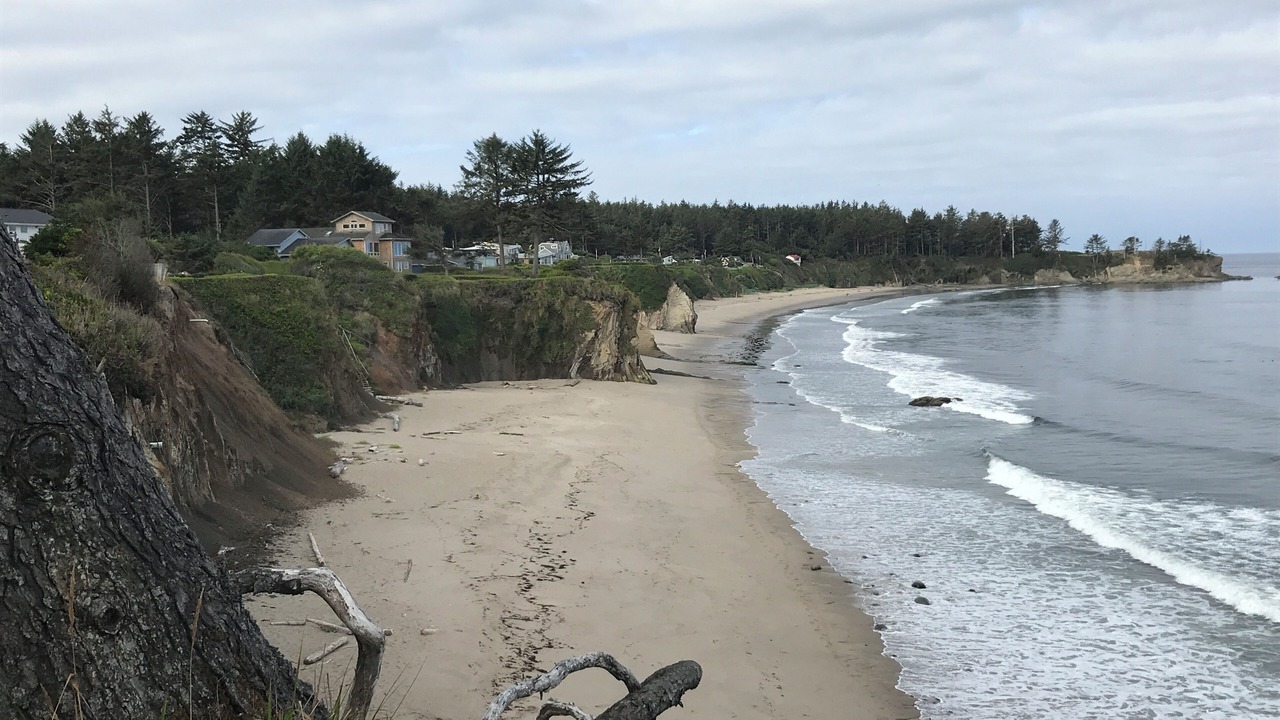 Photo of Others in Coos Bay