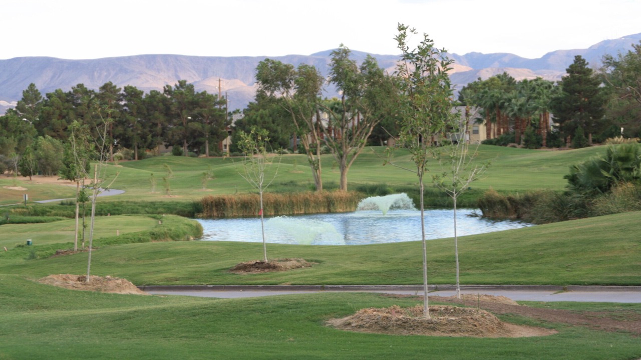 Photo of Outdoor in Green Valley North
