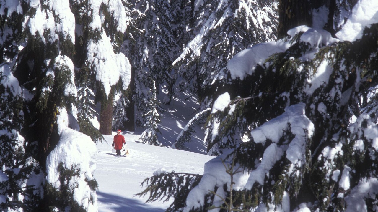 Photo of Outdoor in Klamath Falls