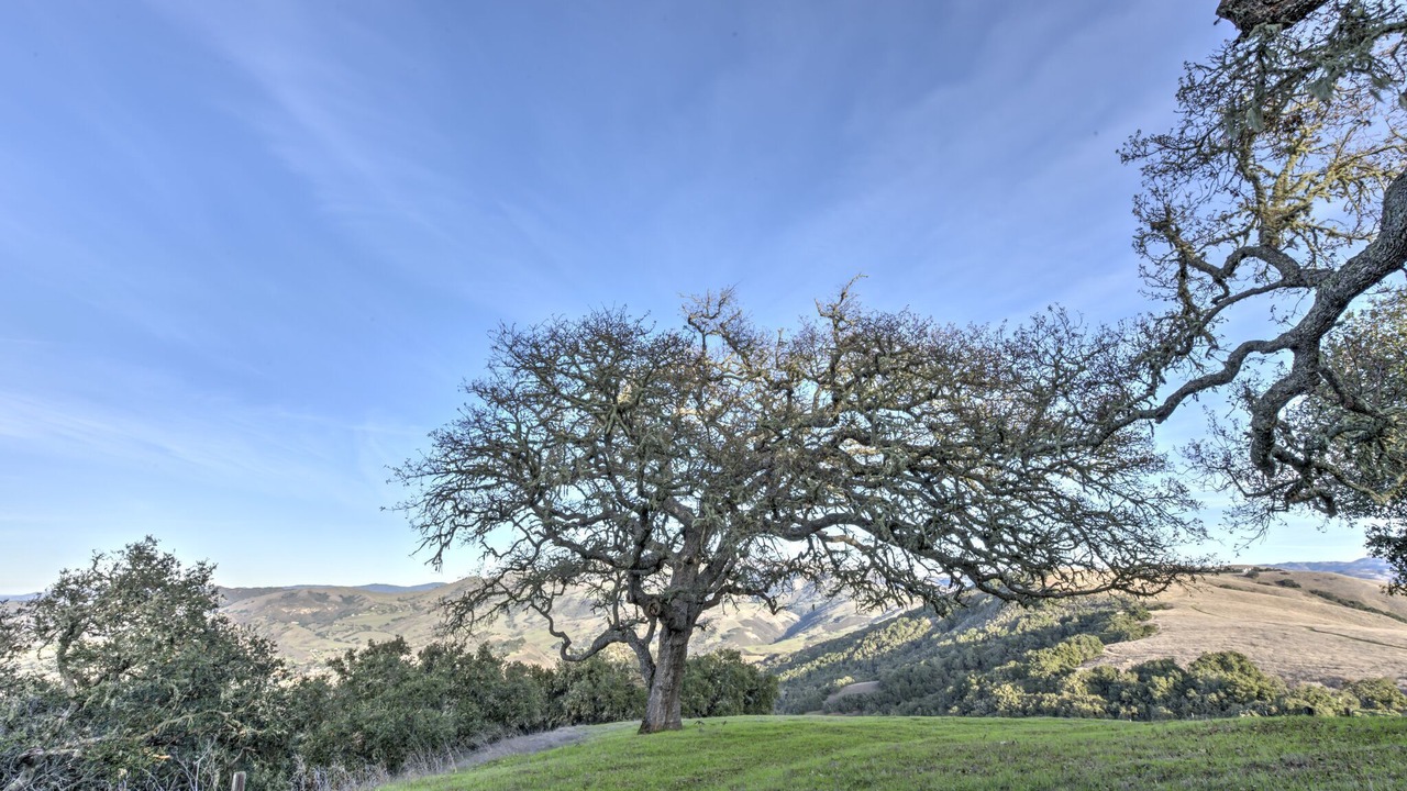 Photo of Outdoor in Carmel Valley