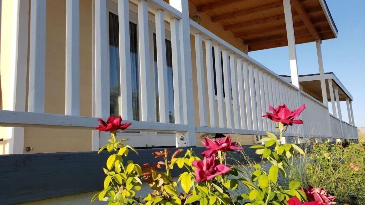 Photo of Outdoor in Pahrump