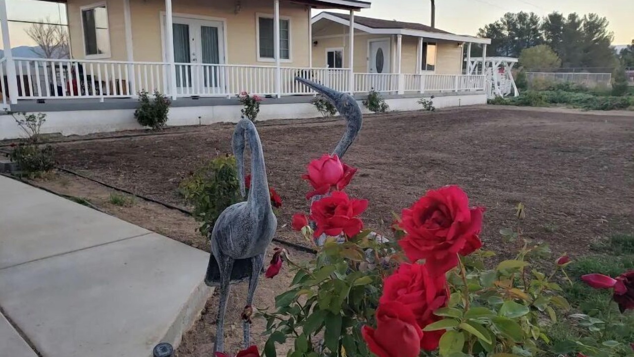 Photo of Outdoor in Pahrump