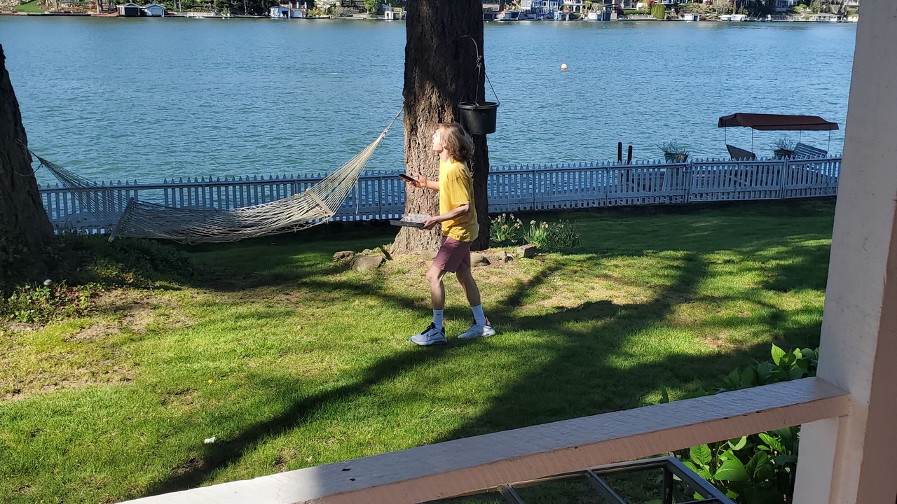Photo of Others in Blue Heron