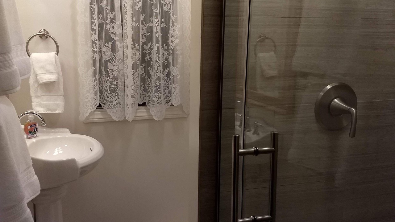 Photo of Bathroom in Twin Peaks