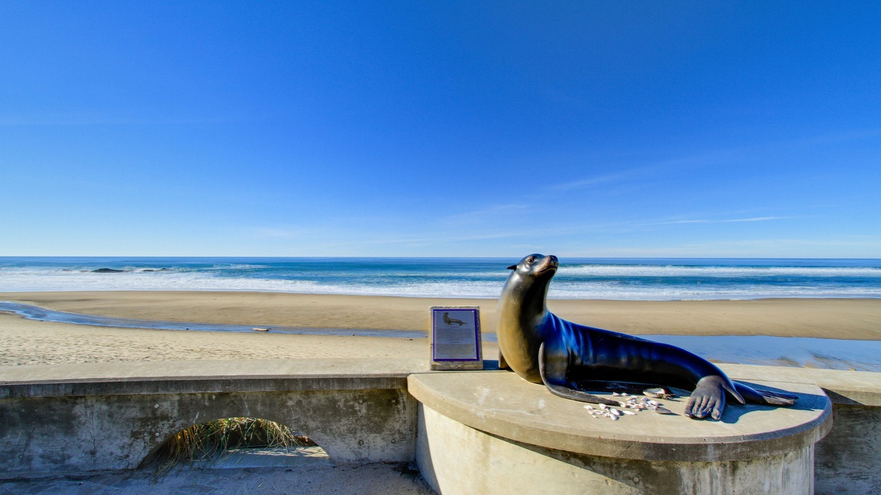 Photo of Others in Lincoln City
