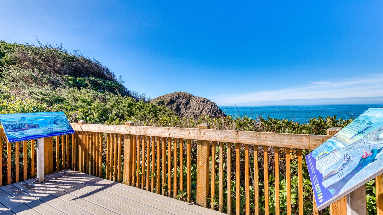 Photo of Outdoor in Tillicum Beach