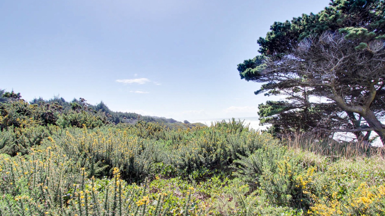 Photo of Outdoor in Bandon