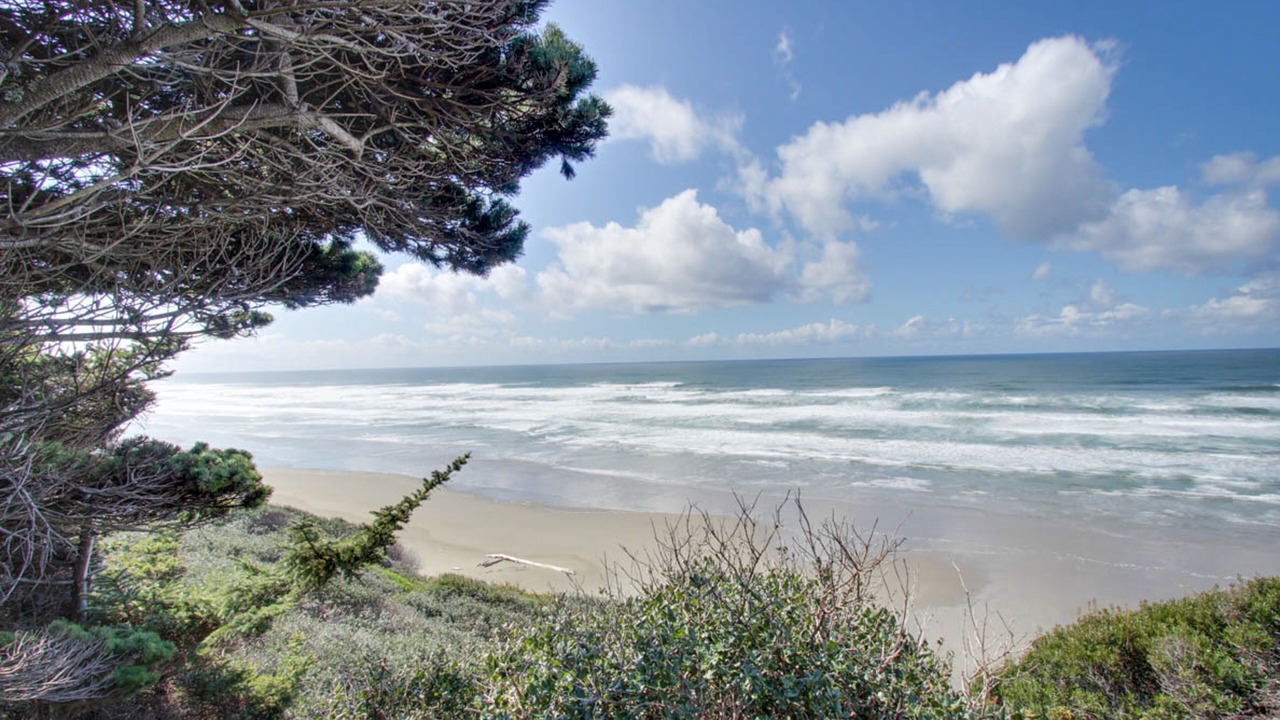 Photo of Others in Bandon