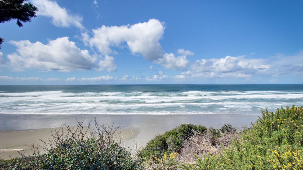 Photo of Others in Bandon