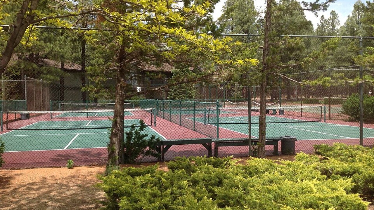 Photo of Others in Pinetop